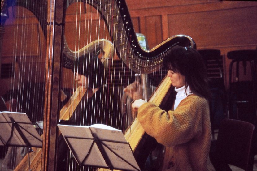 Harpist